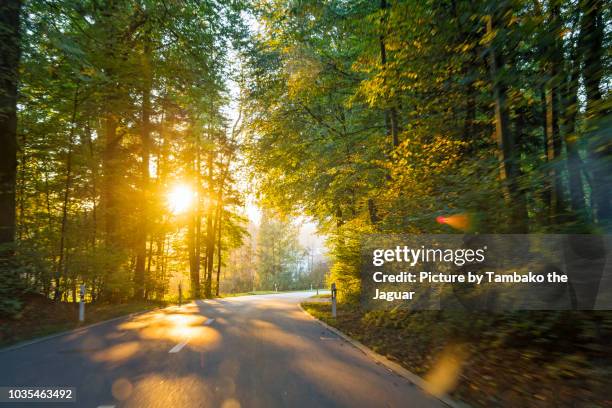 going down the road - driving sun stockfoto's en -beelden