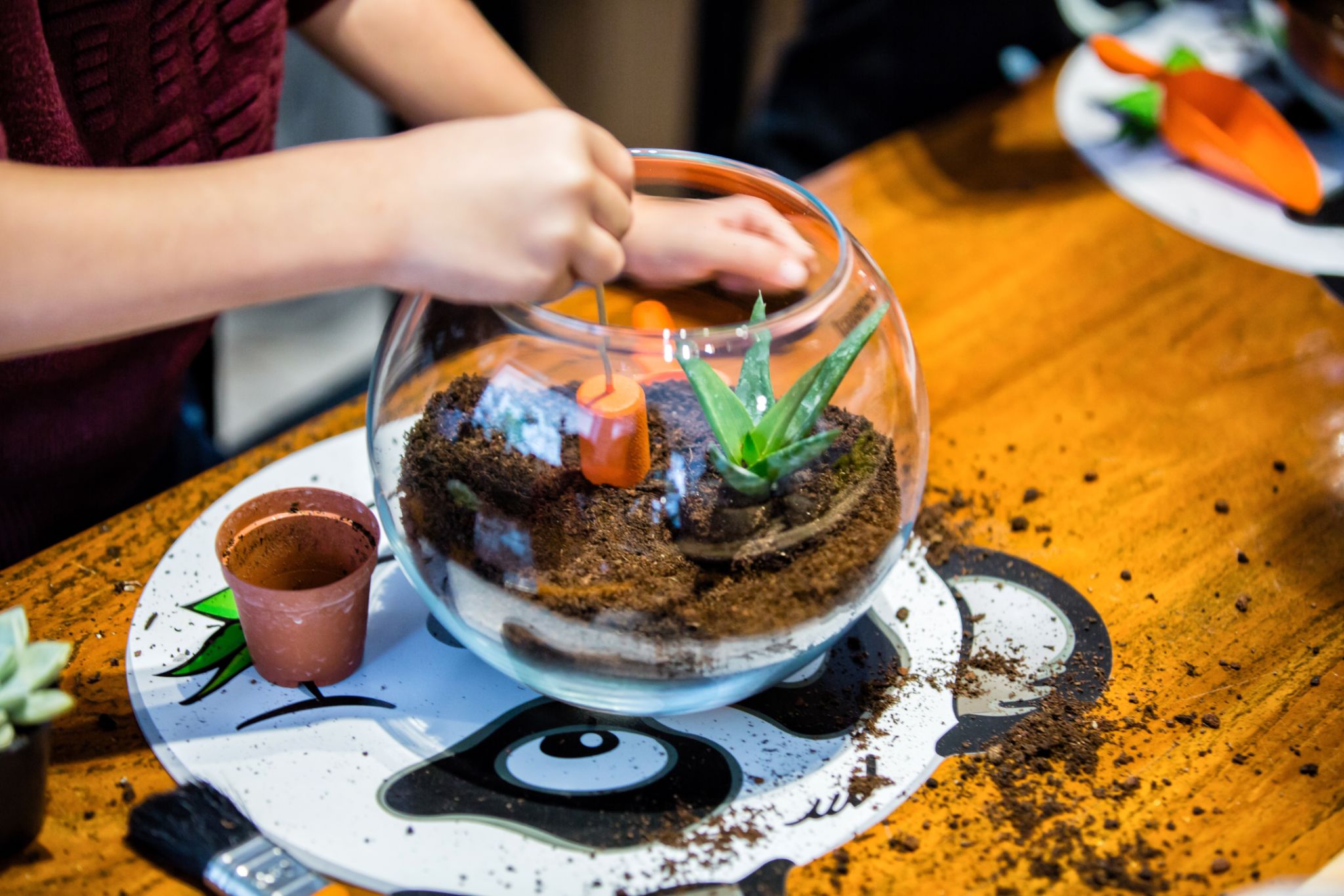 terrarium workshop