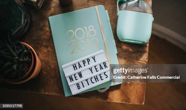 happy new year, bitches - 2019 calendar stock pictures, royalty-free photos & images