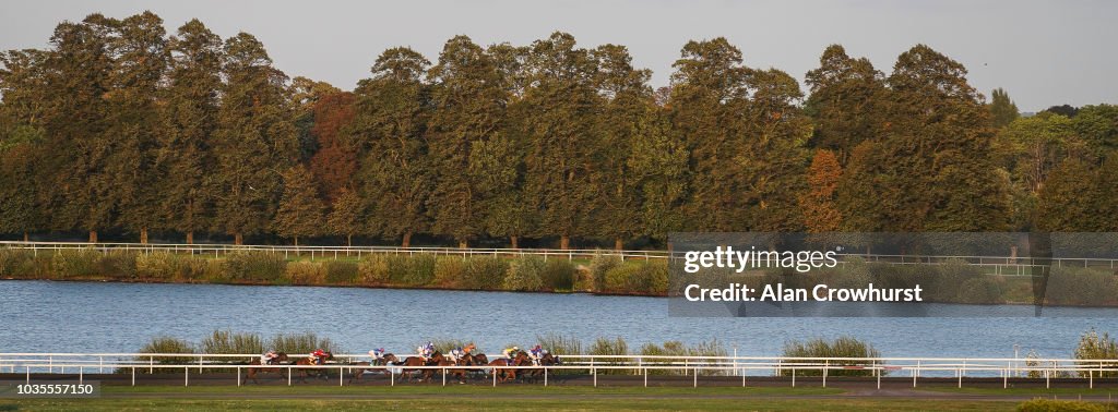 Kempton Races