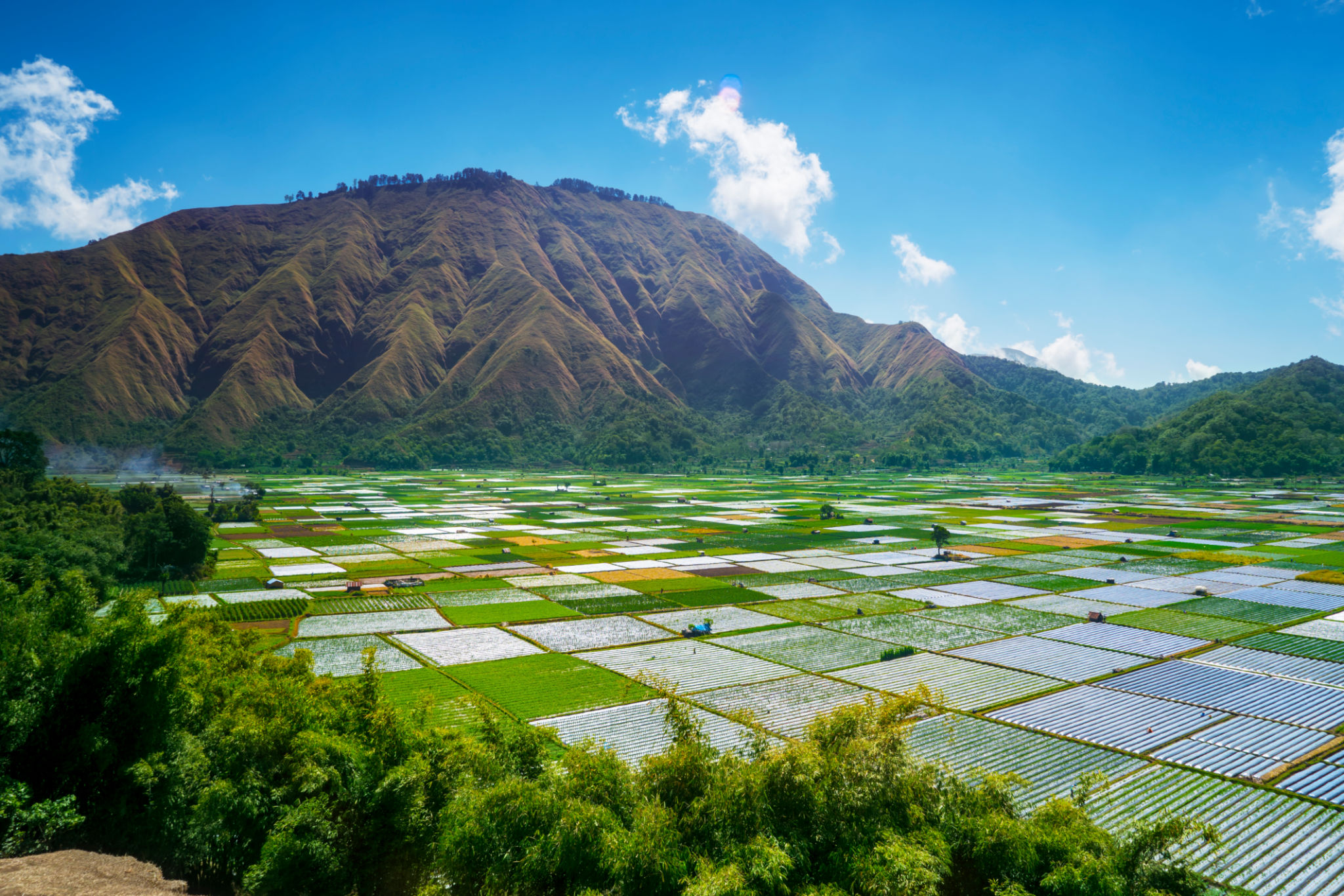 Sunrise Farm Lombok