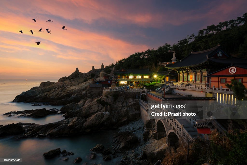 Beautiful sunrise Haedong Yonggungsa Temple in Busan, South Korea.