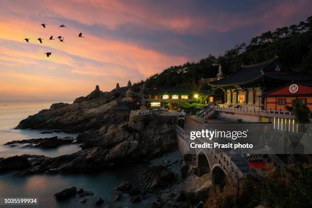 beautiful sunrise haedong yonggungsa temple in busan, south korea. - busan stock pictures, royalty-free photos & images