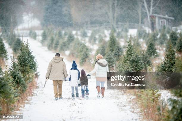 familia en busca de un árbol - christmas tree farm fotografías e imágenes de stock