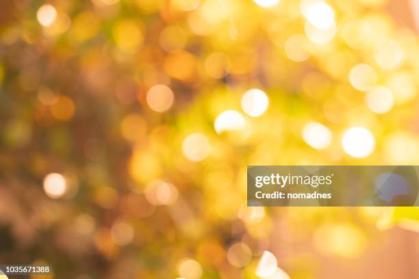 autumn season bokeh background.vibrant and vivid color nature. - fall backgrounds stock pictures, royalty-free photos & images