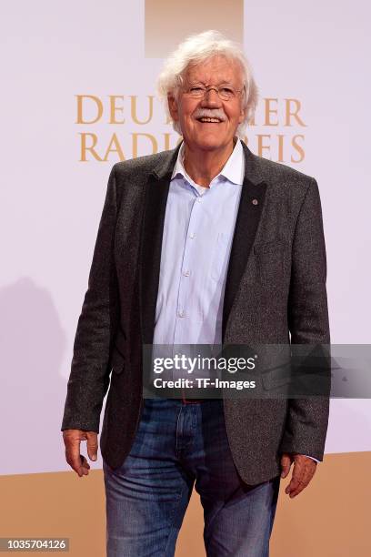 Carlo von Tiedemann attends the Deutscher Radiopreis at Schuppen 52 on September 6, 2018 in Hamburg, Germany.