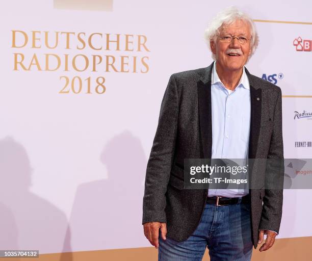 Carlo von Tiedemann attends the Deutscher Radiopreis at Schuppen 52 on September 6, 2018 in Hamburg, Germany.