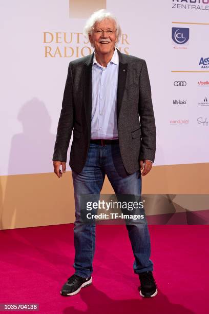 Carlo von Tiedemann attends the Deutscher Radiopreis at Schuppen 52 on September 6, 2018 in Hamburg, Germany.