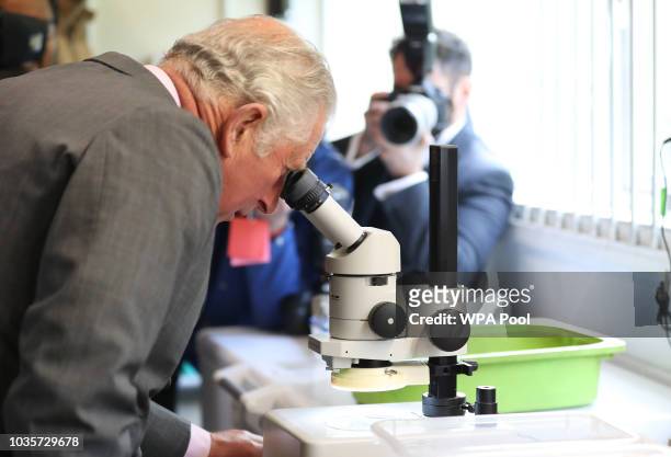 Prince Charles, Prince of Wales during his visit to Kielder Salmon Centre and Hatchery, Kielder Water and Forest Park on September 12, 2018 in...