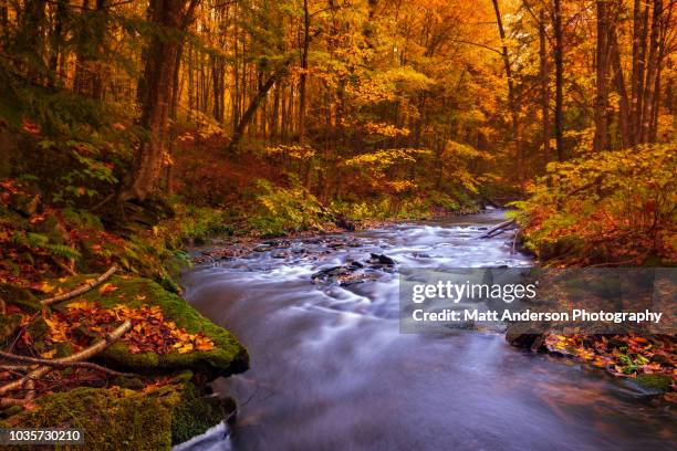 rock river cascades in fall - lake superior fall stock pictures, royalty-free photos & images