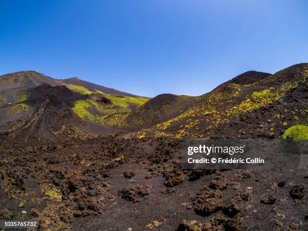 etna's dark side and colorful flora - etna stock pictures, royalty-free photos & images