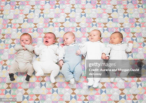 five babies on quilt - cinco personas fotografías e imágenes de stock