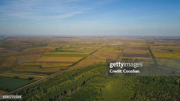 drohne-foto von der schönen natur in bio-industriegebiet - agroforestry stock-fotos und bilder