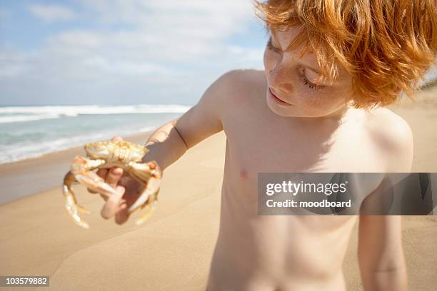 junge holding krabben am strand, porträt - pale complexion stock-fotos und bilder