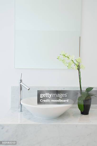 sink and potted plant in bathroom - bathroom sink stock pictures, royalty-free photos & images