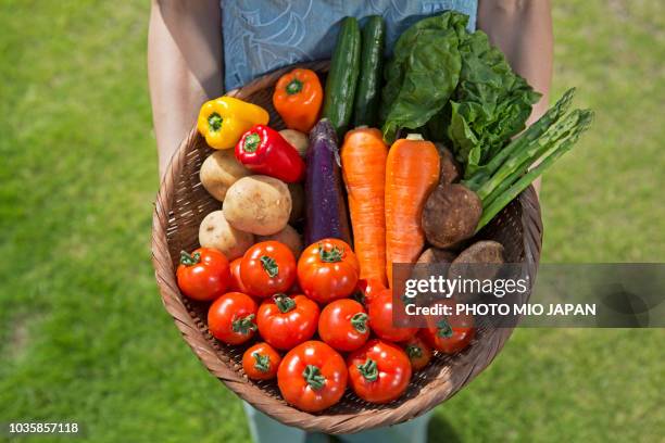 a farmer's woman having a basket within all kinds of vegetables on a glass - 収穫する ストックフォトと画像