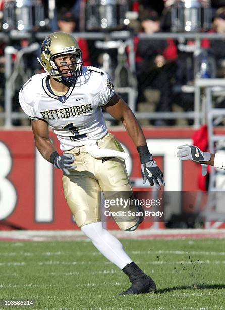 553 Pittsburgh Larry Fitzgerald Stock Photos, High-Res Pictures, and ...