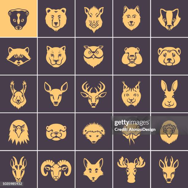 bildbanksillustrationer, clip art samt tecknat material och ikoner med skogens djur ansikten ikonuppsättning - kronhjort