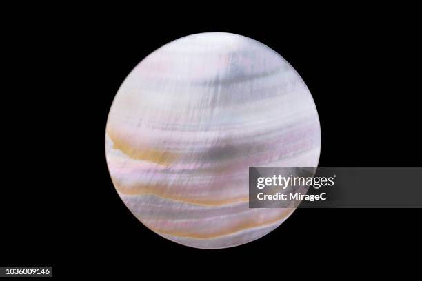 Pearlescent Shell Photos and Premium High Res Pictures - Getty Images