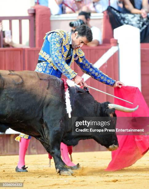 Spanish bullfightingJesulin of Ubrique is seen bullfighting again after seven years retired on August 19, 2018 in Cuenca, Spain.