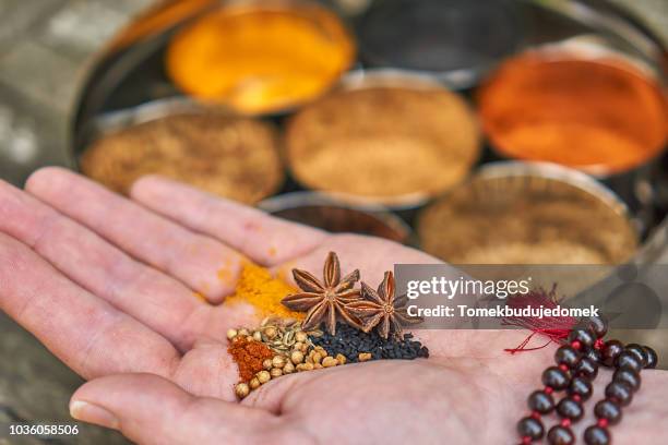 ayurveda - indian spices stockfoto's en -beelden