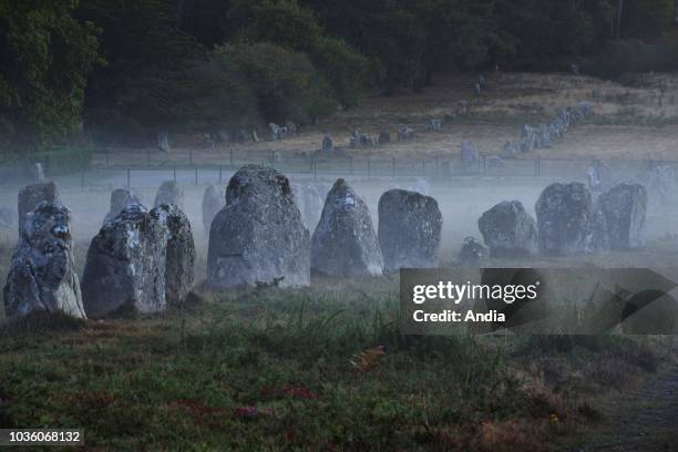 Carnac : Kermario megalithic alignments. Menhirs, standing stones at sunrise.