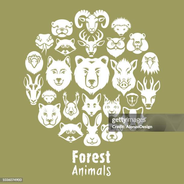 woodland animals collage - moose face stock illustrations