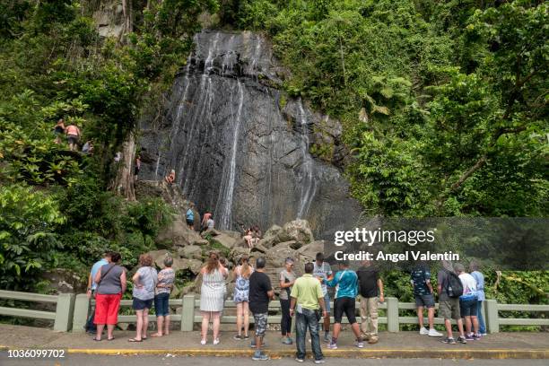 El Yunque Rocks Color El Yunque Puerto Rico Photos and Premium High Res Pictures - Getty Images