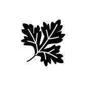 Black & white vector illustration of parsley leaf. Flat icon of aromatic flavorful herb. Seasoning & spice. Vegan & vegetarian food. Health eating ingredient. Isolated on white background.
