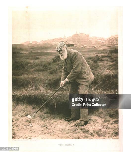 Tom Morris', circa 1905. Scottish golfer 'Old 'Tom Morris was one of the outstanding figures of early competitive golf. He won the Open Championship...