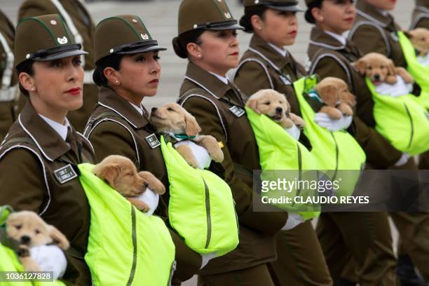 Chilean female police officers march with puppies, future police dogs, during the celebration parade of Chile's 208th Independence anniversary, in...