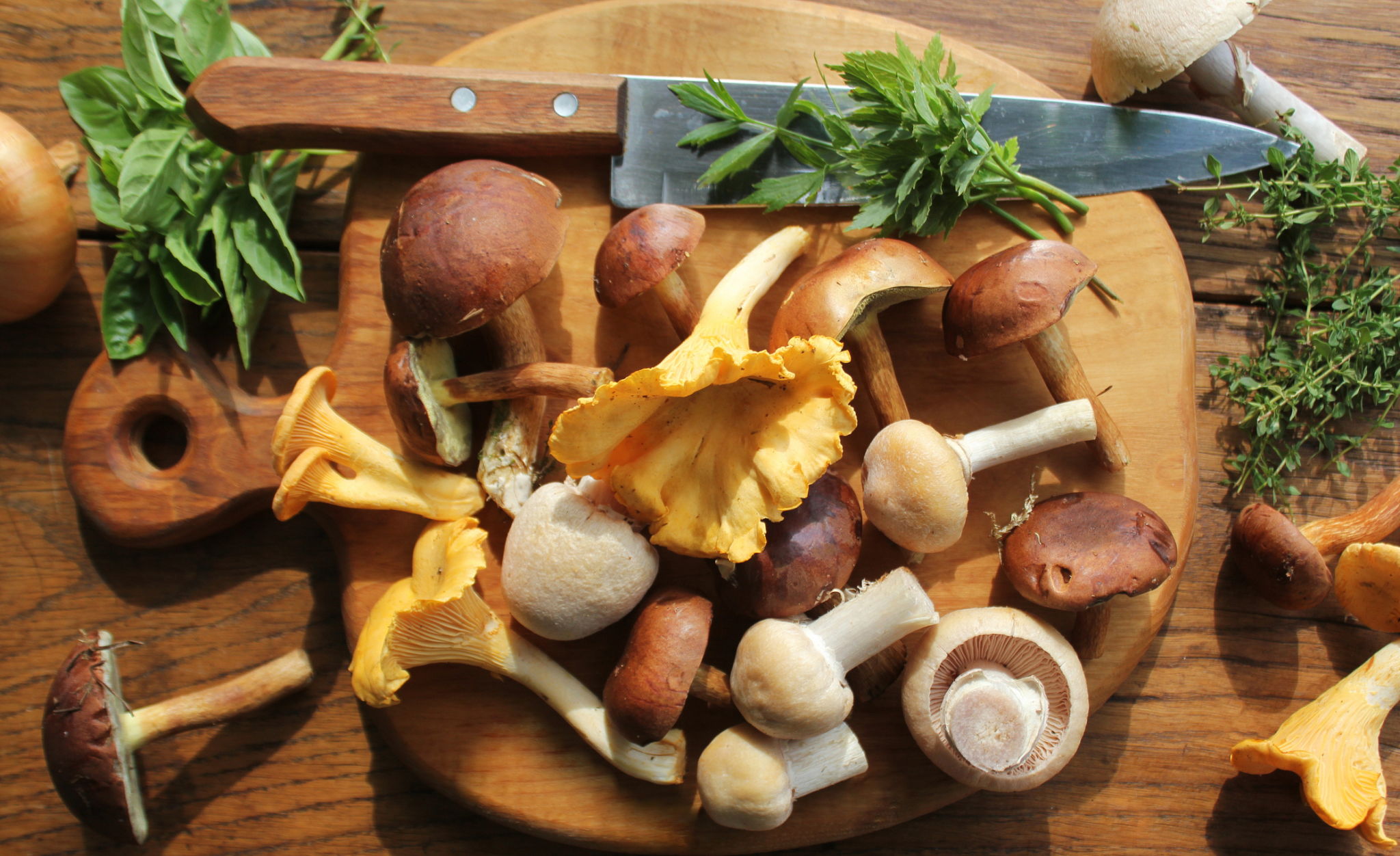 mushrooms fresh