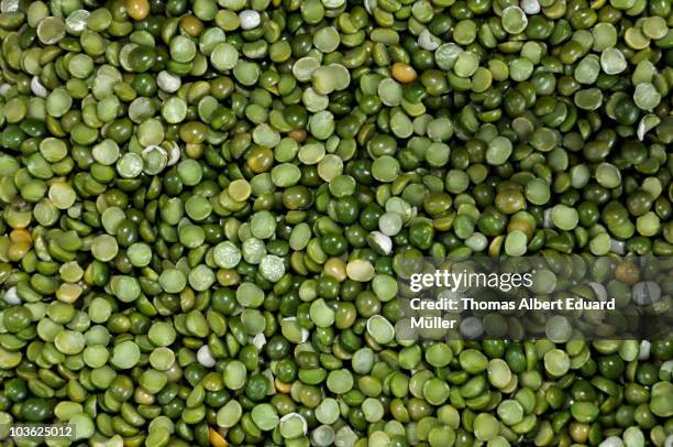 green lentils - green lentil stock pictures, royalty-free photos & images