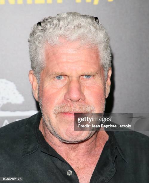 Ron Perlman attends the premiere of Briarcliff Entertainment's "Fahrenheit 11/9" on September 19, 2018 in Los Angeles, California.