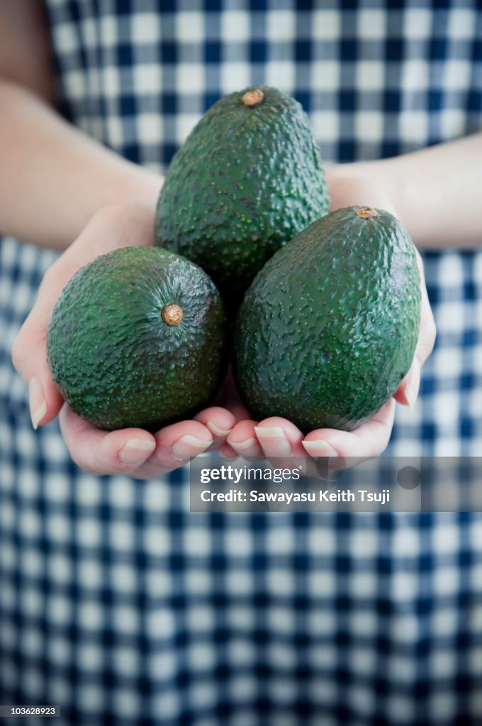 Avocado