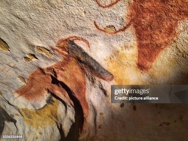 Cave painting in the cave 'Lascaux IV', photographed in Lascaux, France, 3 March 2016. The copy of the famous cave in Southern France will open on 15...