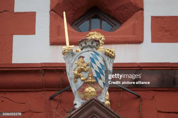 Coat of arms with a golden lion can be seen on Pfalzgrafenstein Castle on Falkenau island in the Rhine river between Oberwesel and Kaub, Germany, 03...