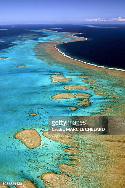 Les coraux néo-calédoniens: un trésor qu'il est encore temps de protéger" - Photo récente de la barrière de corail de la Nouvelle-Calédonie. Les...