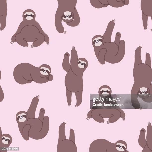 1点のthree Toed Slothイラスト素材 Getty Images 1点のthree Toed Slothイラスト素材 Getty Images