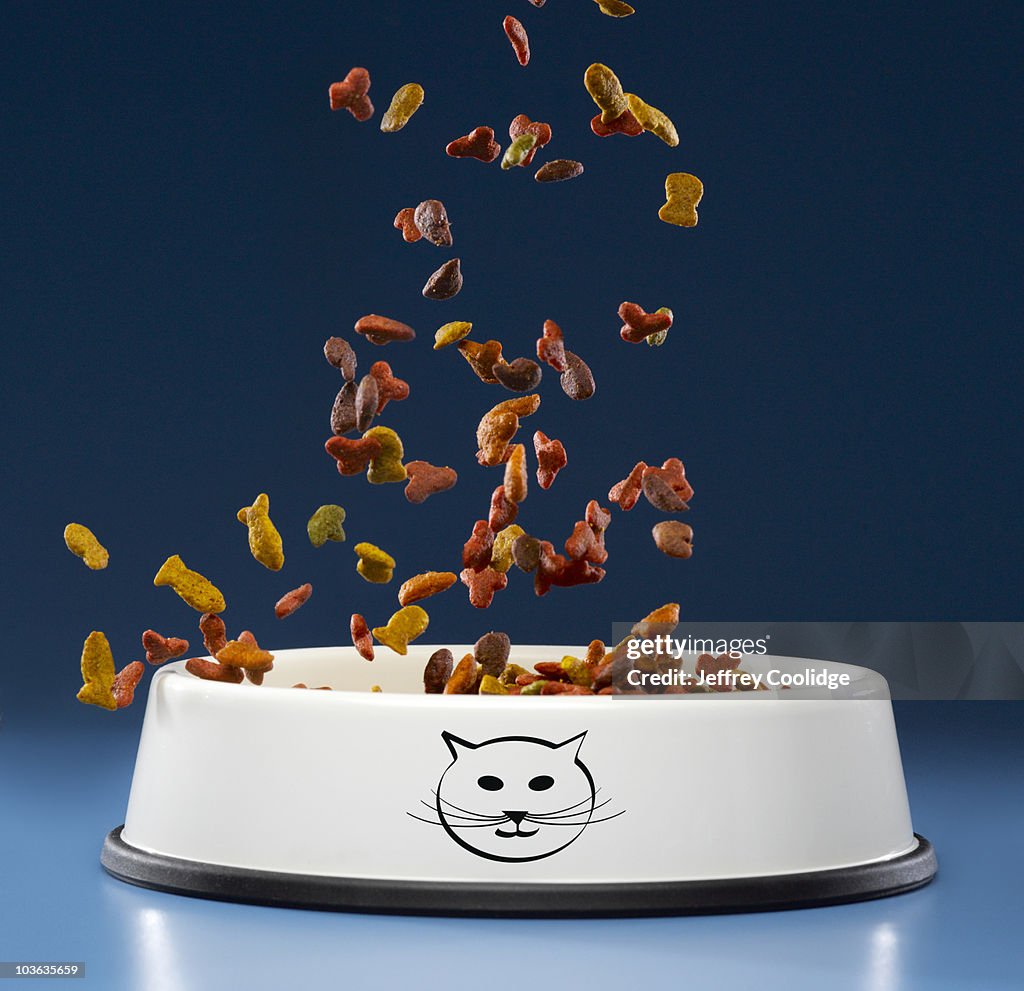 Food Falling into Cat Bowl