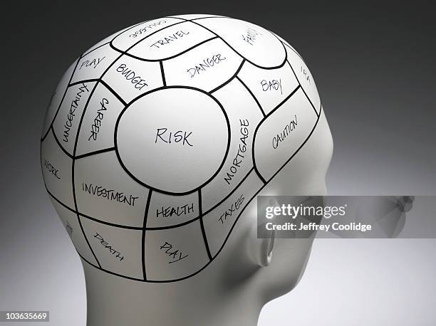 notated phrenolgy head - phrenology head stock pictures, royalty-free photos & images