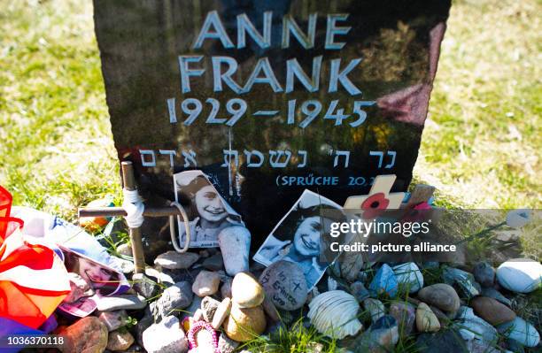 Headstone commemorates Anne Frank at the memorial site in Bergen-Belsen, Germany, 21 April 2015. The Jewish girl became world famous because of her...