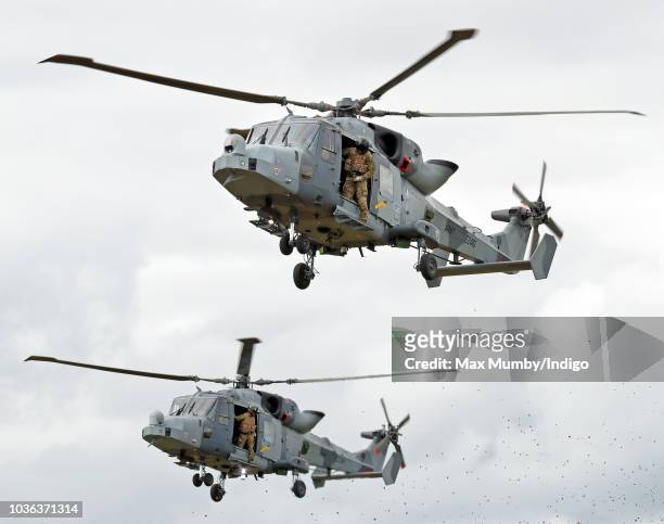 Royal Marines Commandos hang out of the open doors of two Royal Navy Wildcat Maritime Attack Helicopters as they arrive at The Royal Marines Commando...