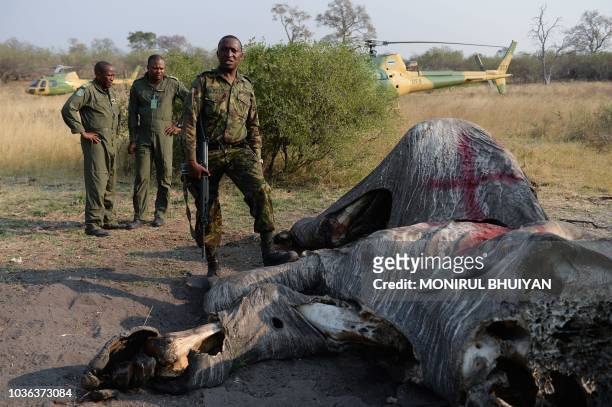 Colonel George Bogatsu of Botswana Defence Force pauses near the marked remaining of an elephant in Chobe, on September 19, 2018. - Elephants Without...
