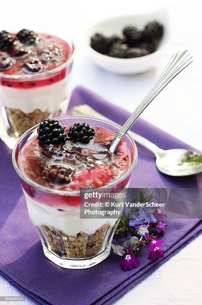 Yogurt with Granola & Blackberries