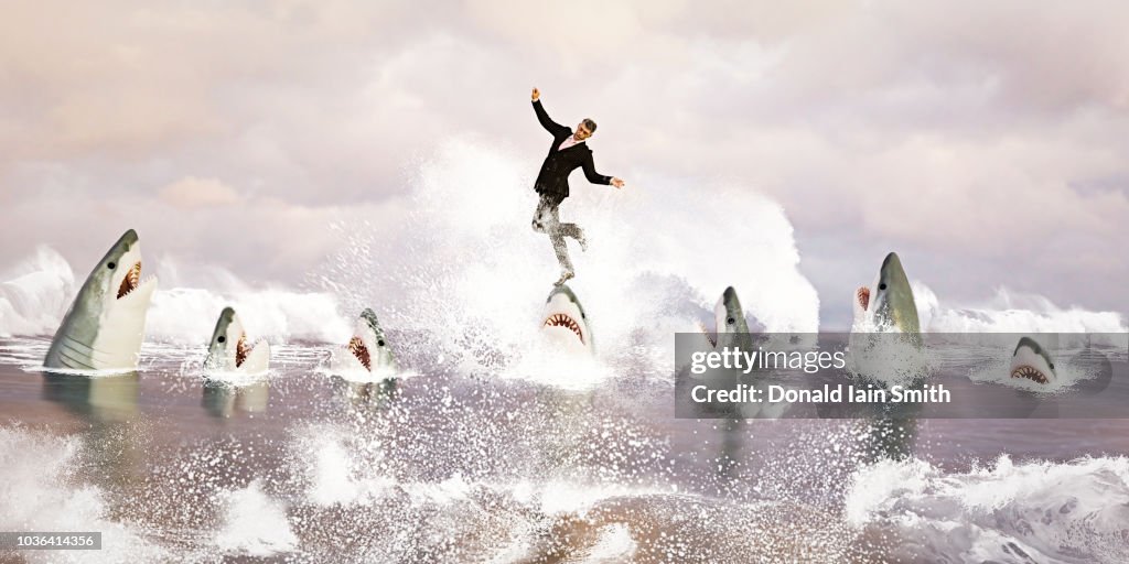 Businessman balancing on head of shark