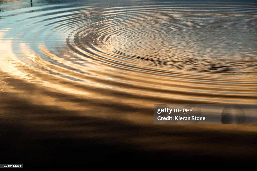 Golden Ripples in the water
