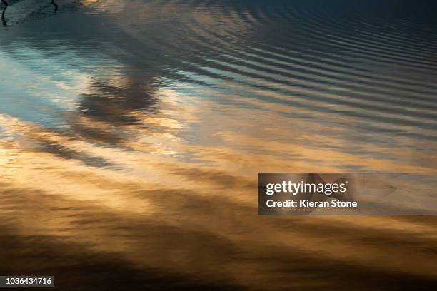 golden ripples in the water - reflection lake stock pictures, royalty-free photos & images
