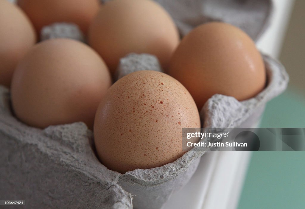 Egg Prices Rise 40 Percent After Major Salmonella Outbreak