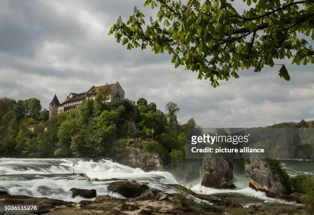 View of the scenic Rhine Falls with the palace of Laufen as a backdrop in Neuhausen Am Rheinfall, Switzerland, 23 April 2017. The Rhine Fall is one...